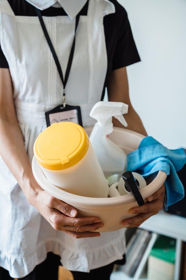 Professional Cleaning Service
